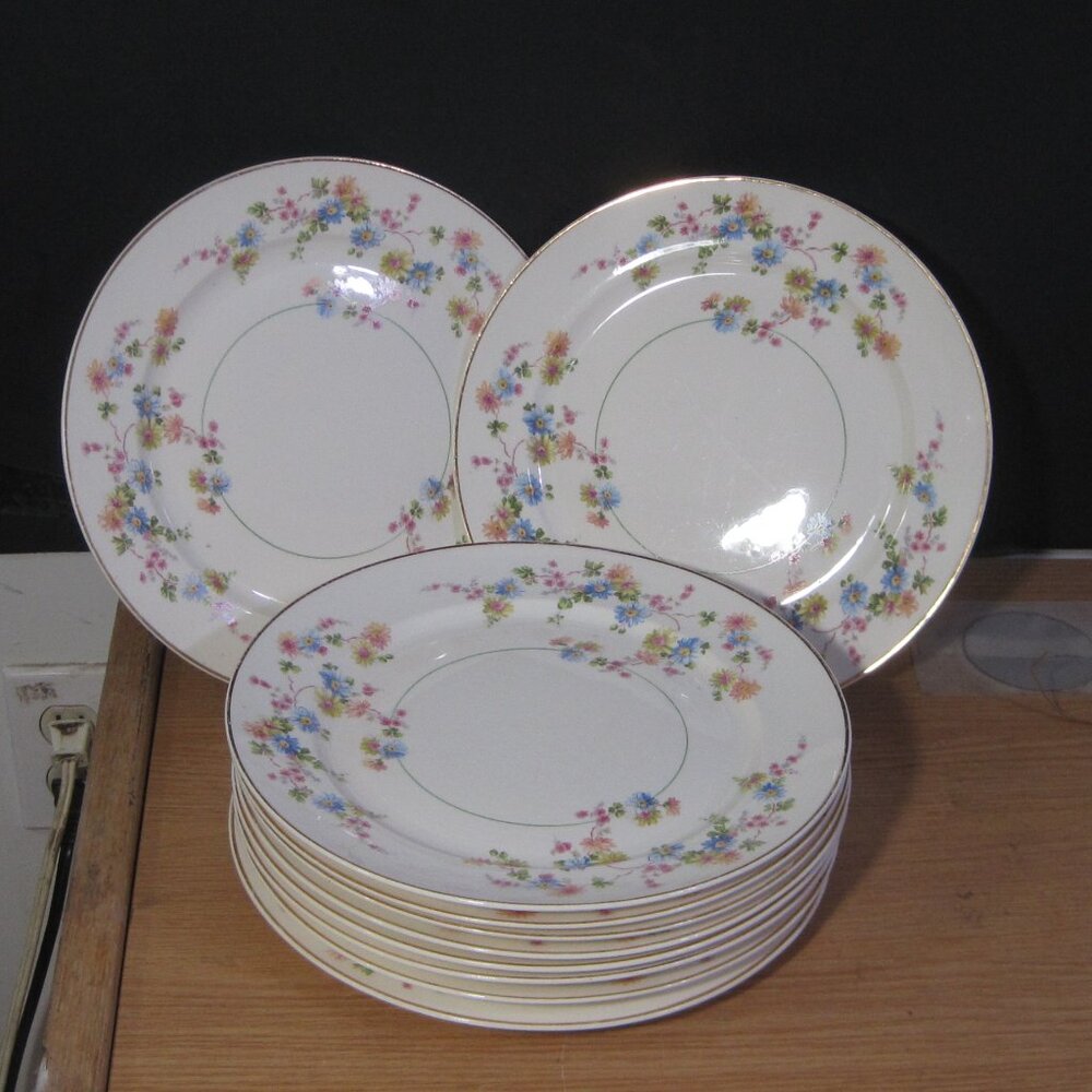 10 STETSON Dinner Plates Pre-owned, Good Condition, No chips, No Cracks,